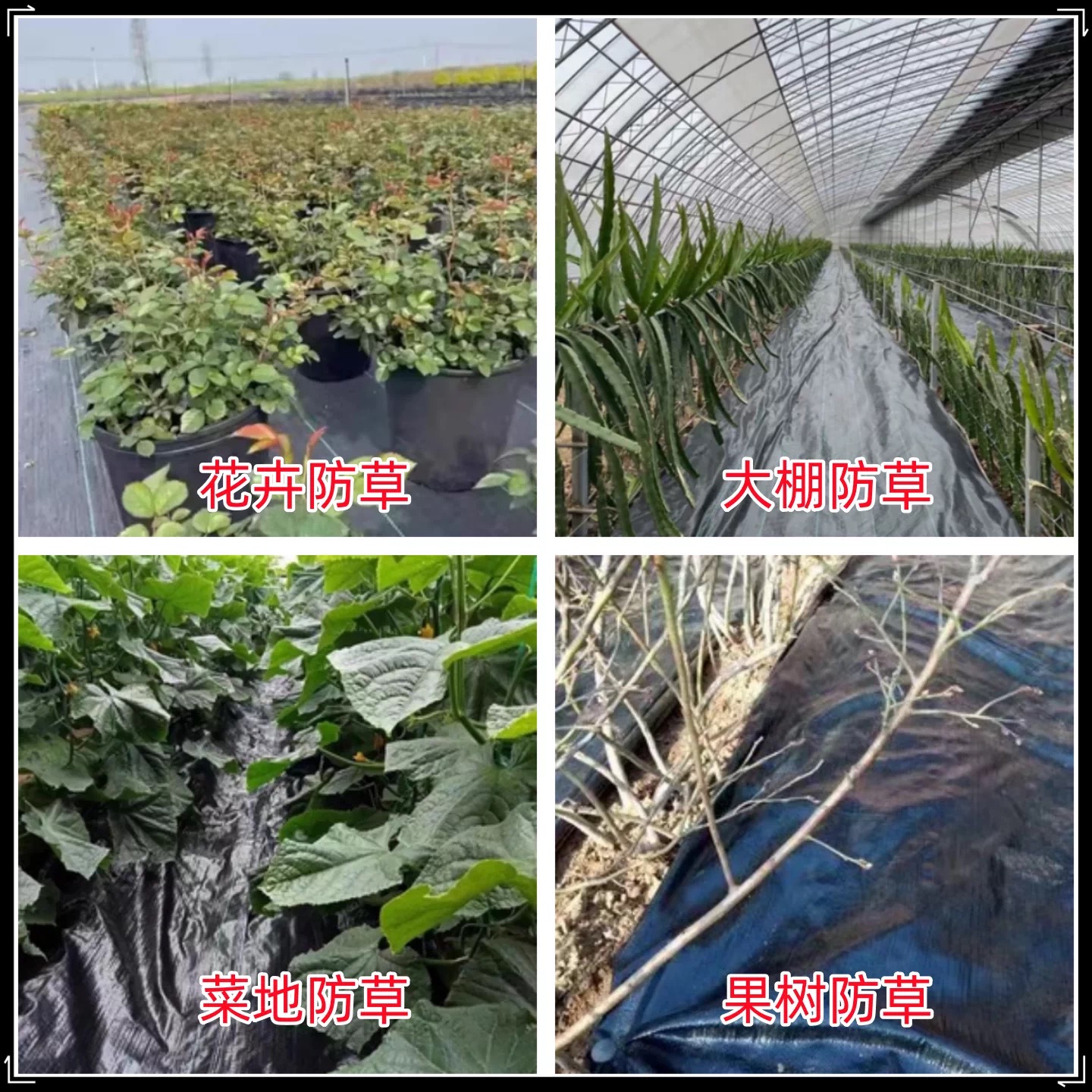 汕头市果树反光膜防草布 - 哪里好