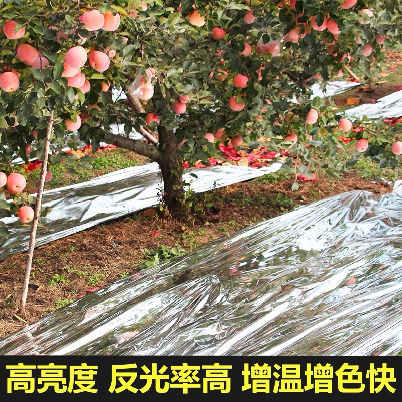 汕头市工程膜果树反光膜 - 厂家